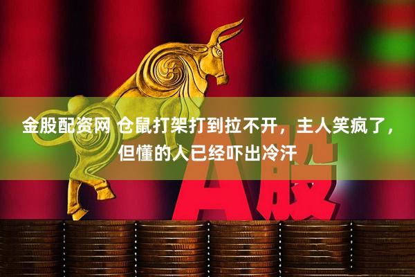 金股配资网 仓鼠打架打到拉不开，主人笑疯了，但懂的人已经吓出冷汗